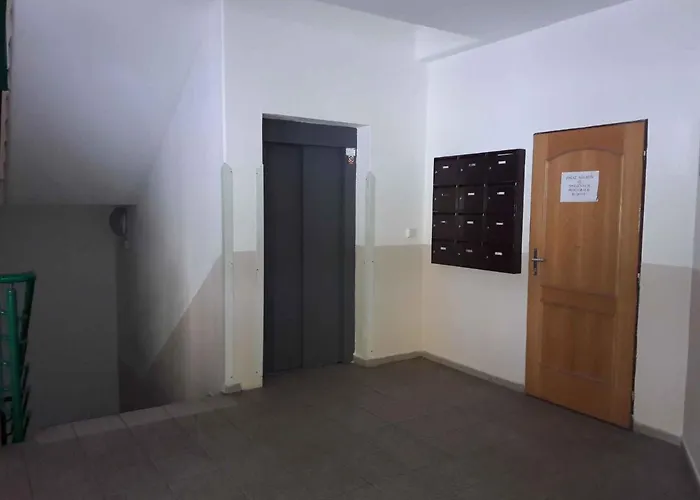 公寓 In - Erzgebirge 33569 亚希莫夫