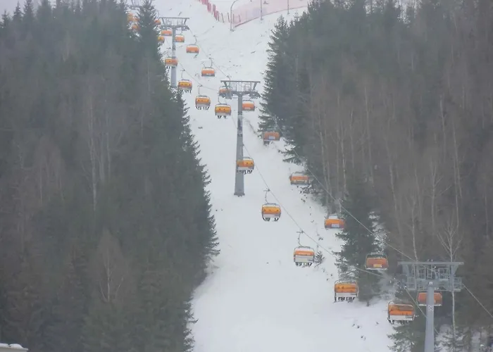 In - Erzgebirge 33569